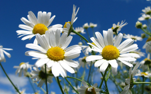 486057 (a): :2560x1600